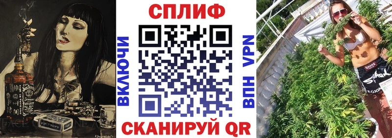 Бошки Шишки семена Барыш